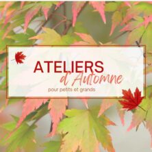 Les ateliers d’automne